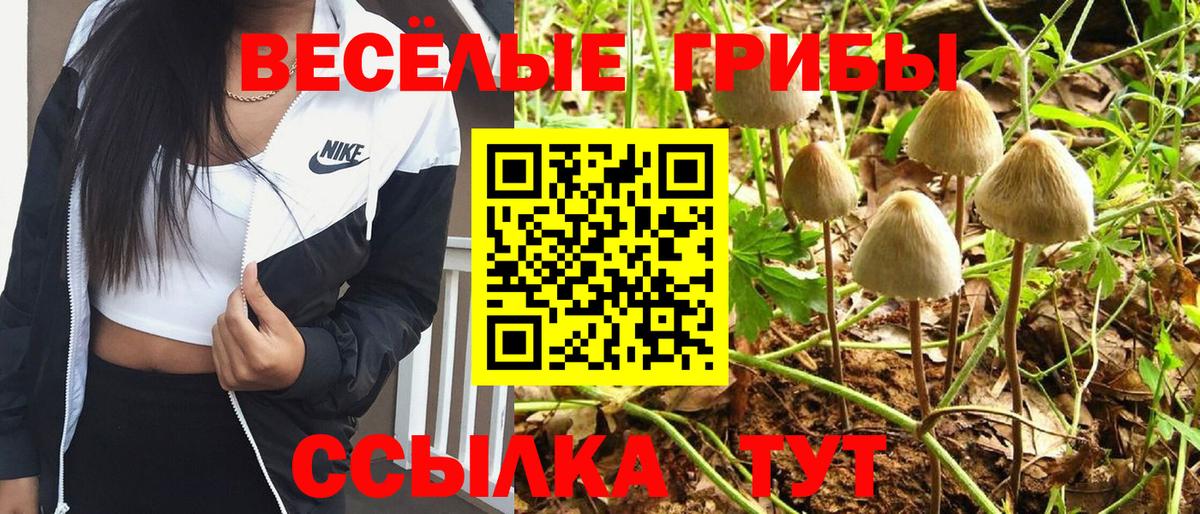 LSD-25  ЭКСТАЗИ  Канабис  Муравленко  Вход с VPN  ГАШИШ  Мефедрон кристаллы 