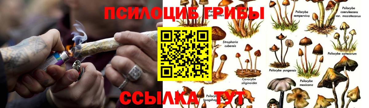 Псилоцибиновые грибы Magic Shrooms  Вход с VPN  Муравленко 